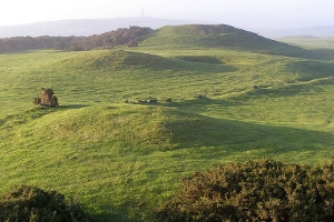 A Barrow Cemetary in Dorset