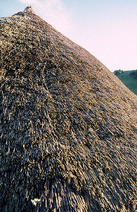 A replica Iron Age thatched roof