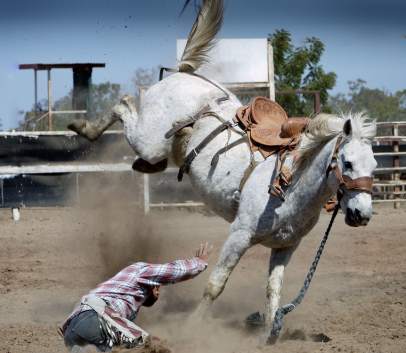 The rider was thrown from the horse. he will not get back in the saddle.