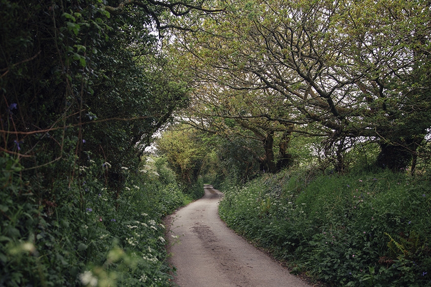 Ejemplo del past simple: When I was a child I lived in the countryside